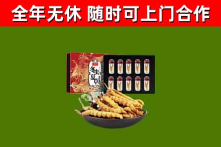 青云谱区回收冬虫夏草价格
